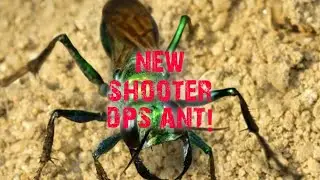 The new emerald jewel ant!〡The Ants: Underground Kingdom