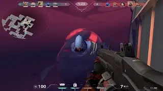 bros forcing shotguns