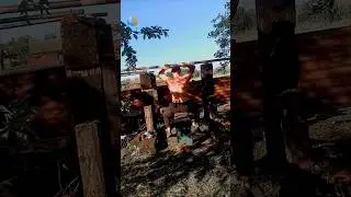 Опираться на кого-то кроме себя самого может стать серьезной бедой 