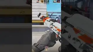Ace pajace