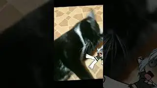 Мила попала ко мне домой!? 