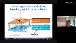 Parameterizing ecosystem biogeochemistry using physical rules