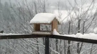 Sikorki   HD 1080p