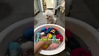 🧸🥺 ¡Papá Se Llevó Todos Mis Juguetes! 🐾❤️