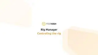 How to control rigs in Rig Manager?