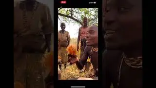 afrikalı’nın #bal keyfi