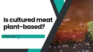 Is cultured meat plant based