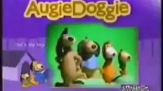 Boomerang Bumpers LA - Augie Doogie