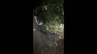 Hunting with somebody’s and their dogs