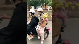 I know Tết is near when I see girls carrying this twig on their Honda 😜🇻🇳 #vietnamculture #tết