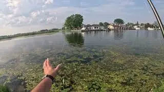 Metro Park