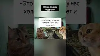 Общага Студентов 