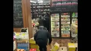 Разгромил магазин 