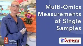 Multi-Omics Measurements of Single Samples | mSystems