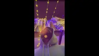 Desma - N4VV Ft. JaiKKo (Official 2024 Visualizer)