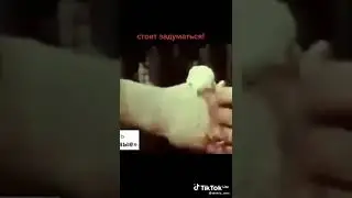 С Людьми Тоже Самое, ПЕЧАЛЬНО ...