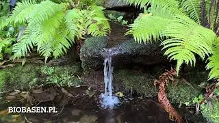 Staw kąpielowy typ 2, po 20 latach użytkowania.