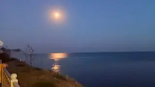 Запись прямого эфира 26.08.2024