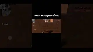 Пов: Сильверы сейчас☠️ | Standoff 2🥵 