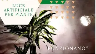 Luce artificiale per piante