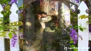 Nina Savu - Am o boala si-un dor greu