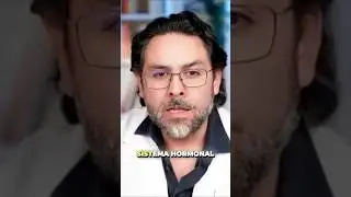 Los hábitos que dañan tú sistema hormonal 🌿⚠️