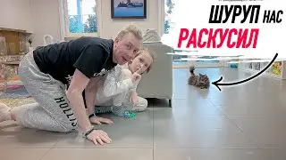 VLOG: Играем в ПРЯТКИ с КОТОМ  16.02.21