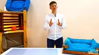 Лежанка для собак / Первый опыт в рекламных роликах