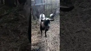 22 сентября 2019 г.