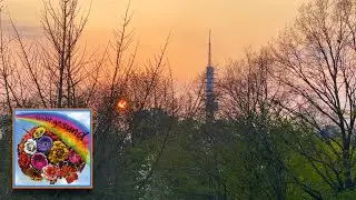 19. April 2021. Sonnenuntergang. Bleibt gesund!