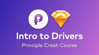 Principle - An Introduction to Drivers on Principle (Simple Slider)