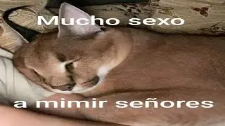 Casual DM #desmadre #zonarw