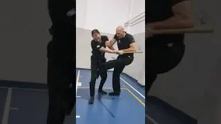 Stick attack defense (muko-dori) #ninjutsu #shadowwarrior #bujinkan #bujin #martialarts #hanbo #bat