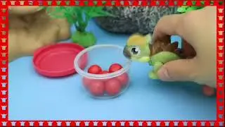 Baby dinosaur grew up eating Skittles🦖😍 ||恐龙宝宝吃了彩虹糖长大了||🦕😘