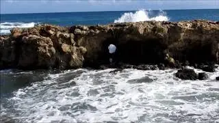 Cheb Zahouani Jitek Bil Hob Ndawar  جيتك بالحب ندور