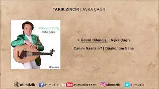 Tarık Zincir - Gönül Dilencisi [ © Official Audio ]