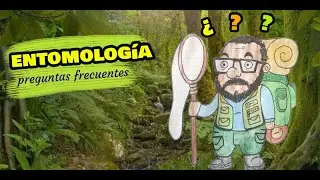 ENTOMOLOGÍA | Preguntas frecuentes
