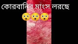 Qurbani monsas laisc// কোরবানির মাংস লরছে//😱😱😱😱//