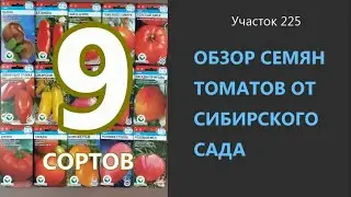 Семена томатов от Сибирского сада. Проверено на грядке.