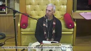 ШБ 9.1.19-33 Неизменность души. ЕМ Дамодара Пандит прабху. 12.11.2024г.