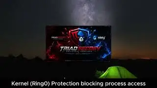 Kernel Protection (Ring 0)