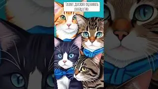 С днем знаний и талантов🐱 