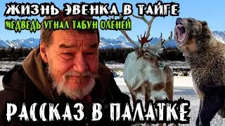 Life in the Taiga: How an Evenk Defended His Herd from a Bear