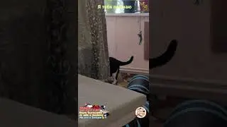 Я тебя поймаю. I'll catch you.