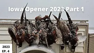 Iowa Pheasant Hunting Opener P1 EP. 4
