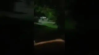 как думаете м@%як?