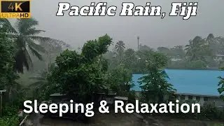 Relaxing Rain falling on trees | ASMR Rain sounds for sleep and meditation