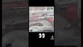 свап жига