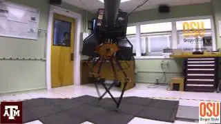 Dynamic Multi-Domain Bipedal Walking with ATRIAS