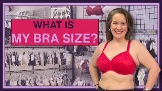 What is My Bra Size?